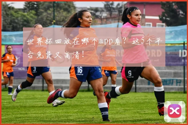 世界杯回放在哪个app看？这5个平台免费又高清！