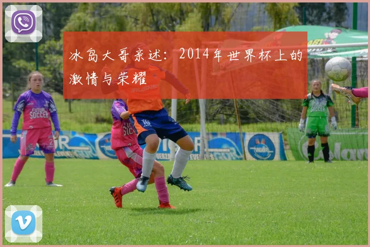 冰岛大哥亲述:2014年世界杯上的激情与荣耀