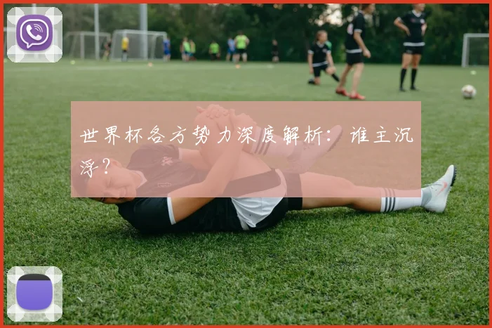 世界杯各方势力深度解析:谁主沉浮?