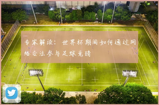 专家解读:世界杯期间如何通过网络合法参与足球竞猜