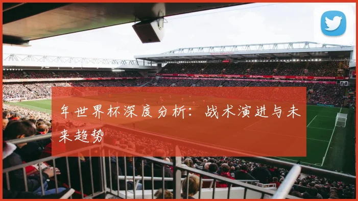 年世界杯深度分析：战术演进与未来趋势