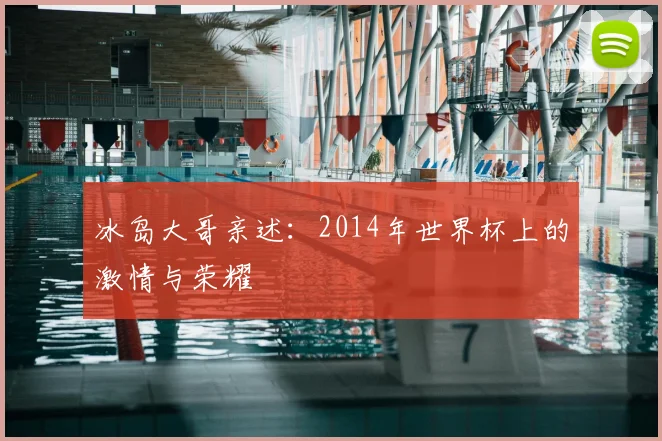 冰岛大哥亲述:2014年世界杯上的激情与荣耀